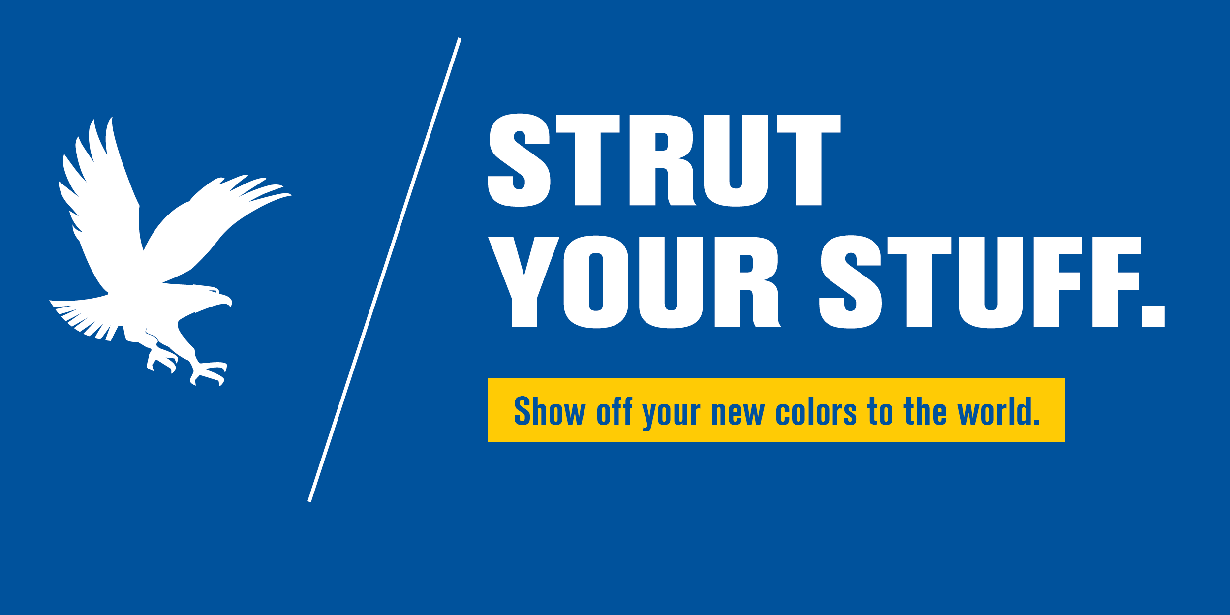 EMBRY-RIDDLE AERONAUTICAL UNIVERSITY